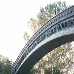 GVSU classes go online until March 29